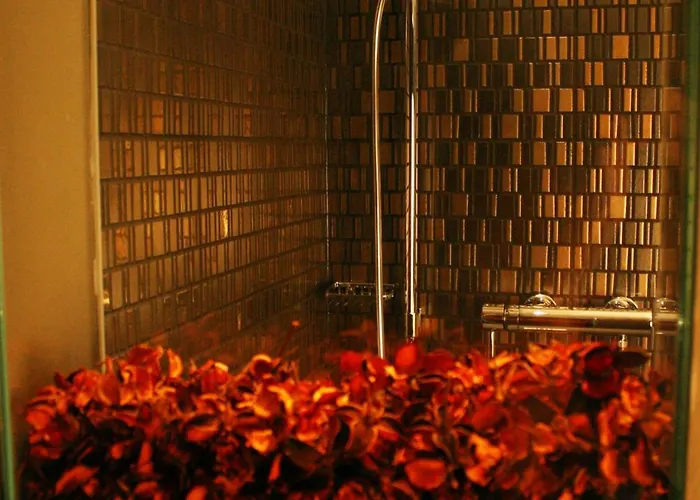 罗森米尔酒店 4*