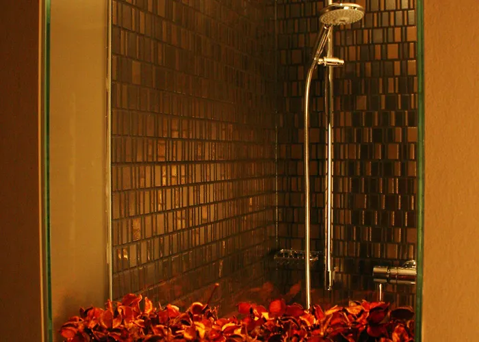 酒店 罗森米尔酒店 4*